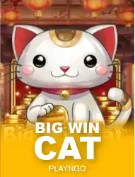 Big Win Cat